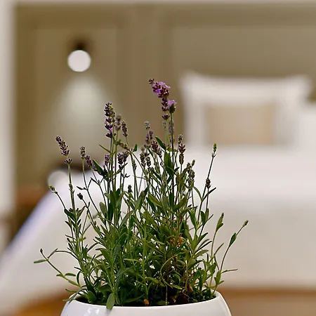 Herbal Hotel Wroclaw