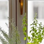Hotel Herbal 3*