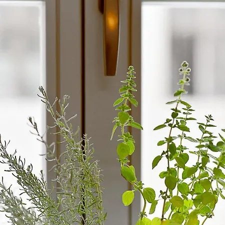 Hotel Herbal 3*