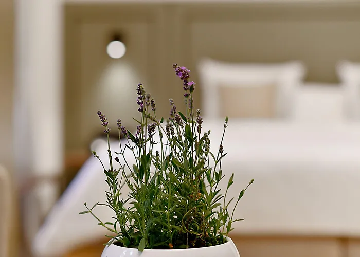 Herbal Hotel Breslavia